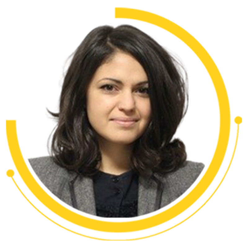Elisar Bashir website&mailing